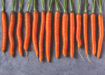 Raw whole fresh carrots on gray background.
