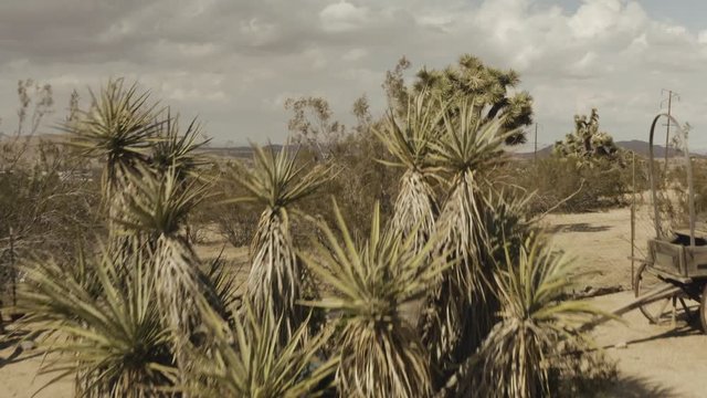 Aerial Ascend in the desert over a horse cart on a windy day