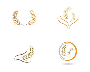 Wheat logo illustration