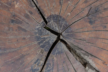 old wood texture