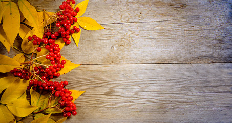 autumn leaves on wooden background with copy space