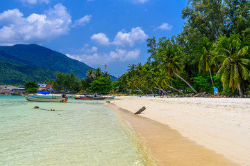 Coconut palms and long tail boats, Malibu Beach, Koh Phangan isl