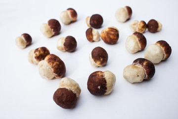ceps on a white background.