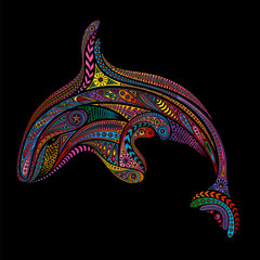 Vector killer whale from color patterns on black background 