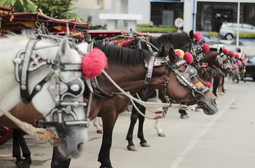 Obraz premium Bendi - Traditional Transportation From Bukittinggi, West Sumatera, Indonesia