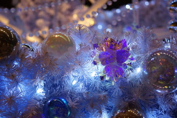 クリスマス