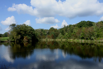Fototapeta premium Pond reflection