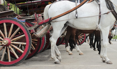 Bendi - Traditional Transportation From Bukittinggi, West Sumatera, Indonesia