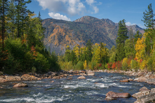 Autumn river Selenginka in mountains Khamar-Daban