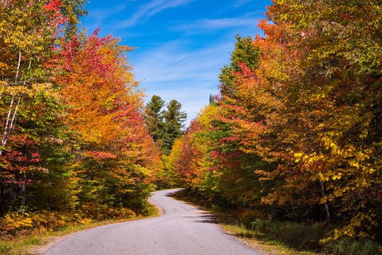 Road scene in New England with Fall color