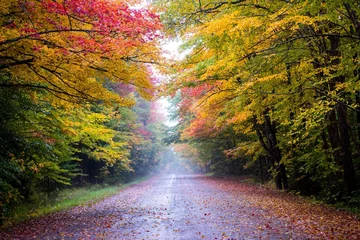 Poster Wegscène in New England met herfstkleur © Dene' Miles