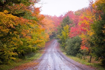 Naklejka na ściany i meble Road scene in New England with Fall color