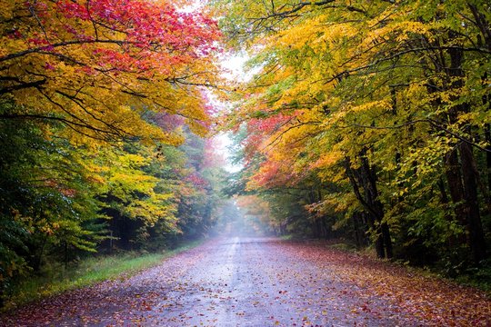 Road Scene In New England With Fall Color