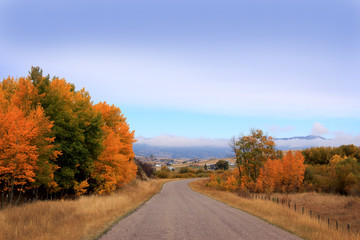 countryside road in autumn