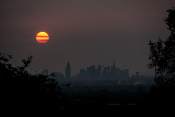Sonnenaufgang über der Skyline Frankfurt