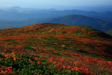 紅葉の栗駒山