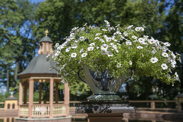  Flower vase in the Summer Garden of St. Petersburg
