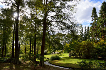秋の日の午後、高木が並ぶ芝生の広場と小川のある公園に、柔らかな日差しが差し込む風景