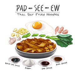 Pad See Ew Thai Stir Fried Noodles street food recipe ingredient vector illustration