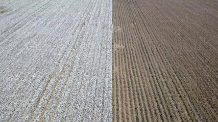 Aerial image of a vast Cotton field showing both pre and post harvest parts of the field.