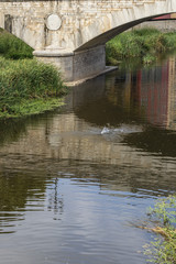 Water reflection on an old heritage stone bridge in Girona, Catalonia