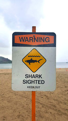 Beach warning of sharks. - 226440972