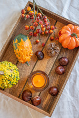 Herbstliche Kürbis Deko