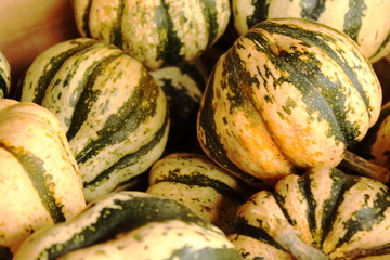 Collection of yellow and green gourds in a wooden basket