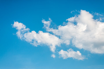 Summer and beautiful  in the blue sky with clouds.