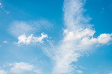 Summer and beautiful  in the blue sky with clouds.