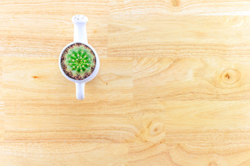 Top view cactus on wood background