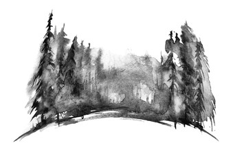Watercolor coniferous forest, fir, pine, cedar.Vintage illustration of black and white on isolated background. Watercolor countryside landscape. Abstract splash of paint.