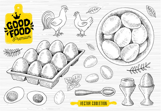 Set of eggs plate, han cock, egg tray. Raw eggs, breakfast spoon, sketch style, white background. Good food premium market, logo design, shop. Hand drawn vector illustration.