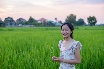 Portrait of Asia women in the rice field