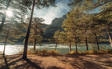 ALtay - Chemal. (Алтай - Чемал)