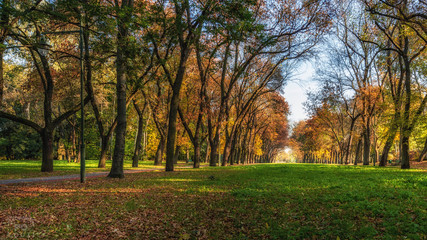 Miejska Jesień  © Marcin