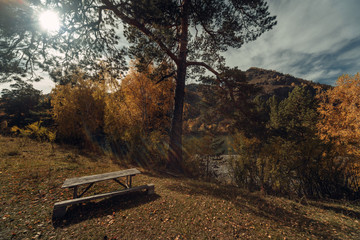 ALtay - Chemal. (Алтай - Чемал)