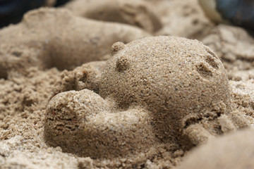 Fototapeta na wymiar crab of sand built with sand form 