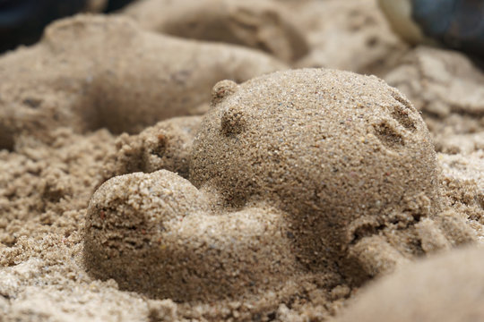 crab of sand built with sand form 