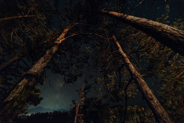 ALtay - Chemal. (Алтай - Чемал)