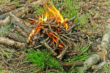 The site of the fire. Fire, built among the grass of logs and branches.