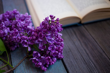 branch of lilac and opened book on a wooden table