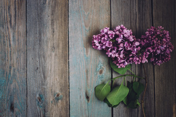 branch of lilac on a rustic wooden table, copy space