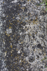 background old gray concrete wall