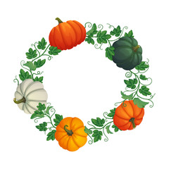 Autumn circular frame with multicolored pumpkins with vines and leaves isolated on white background.