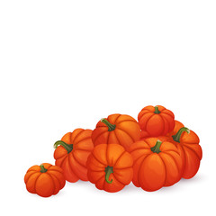 Fototapeta premium Group of round orange pumpkins with green stems isolated on white background. Harvest, thanksgiving, halloween, autumn symbol.