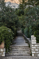Street in Kotor. Street with trees. Montenegro