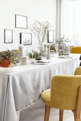 Yellow chair at table with tableware in bright dining room interior with flowers and posters. Real...