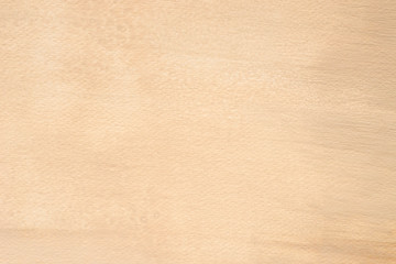 Fototapeta premium beige art painted background texture