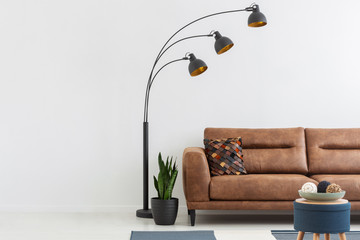 Copy space and stylish metal lamp with three shades next to black pot with green plant and comfortable leather couch in trendy house